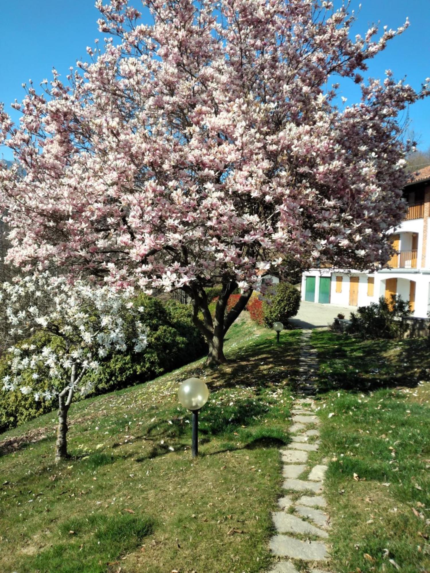 Appartamento A Due Passi Da Burcina Favaro Exteriér fotografie